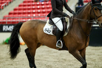 01061 - Mara - 2026 Royal West - Wednesday October 21st
