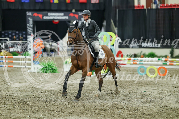 01955 - Mara - 2026 Royal West - Thursday October 15th