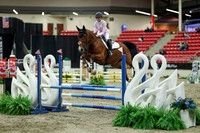 01257 - Mara - 2026 Royal West - Saturday October 2th