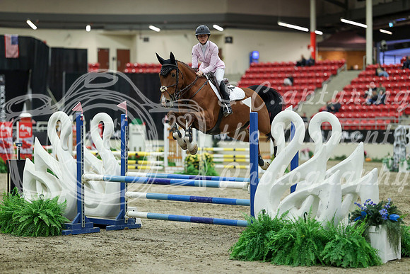 01257 - Mara - 2026 Royal West - Saturday October 2th