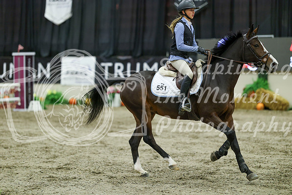 01255 - Mara - 2026 Royal West - Wednesday October 21st