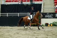 00735 - Mara - 2026 Royal West - Wednesday October 21st