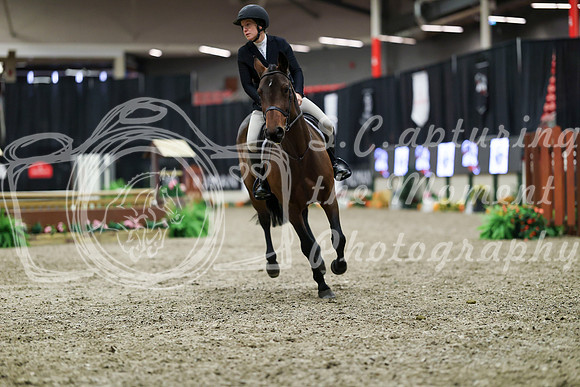 01313 - Mara - 2026 Royal West - Tuesday October 20th