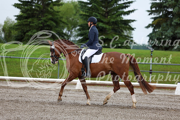 2025 - Dressage Festival - Sunday July 6th - 05232