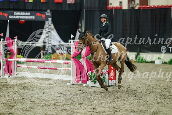 01250 - Mara - 2026 Royal West - Sunday October 18th