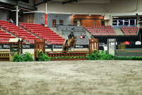 02929 - Mara - 2026 Royal West - Saturday October 17th