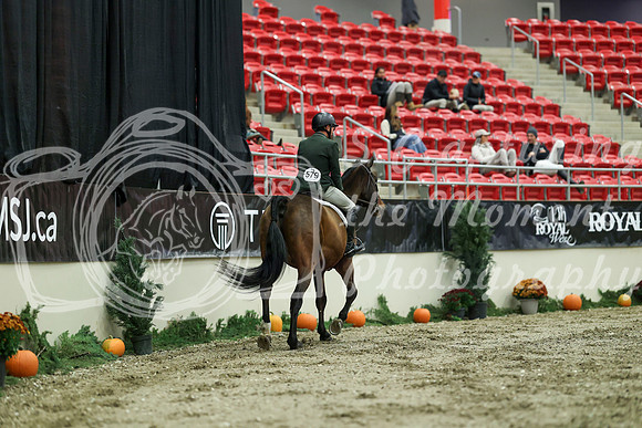 01538 - Mara - 2026 Royal West - Saturday October 17th
