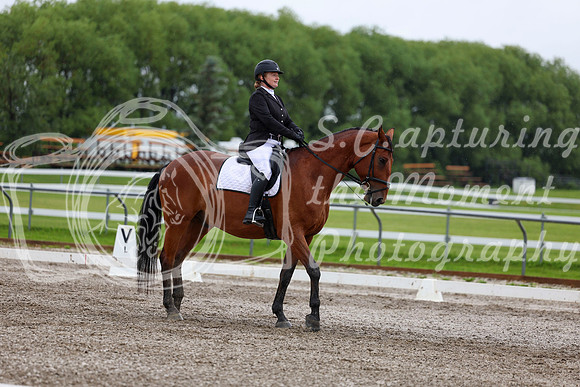 2025 - Dressage Festival - Sunday July 6th - 05012