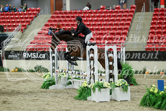 01135 - Mara - 2026 Royal West - Saturday October 2th