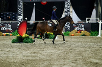 06295 - Mara - 2026 Royal West - Sunday October 18th