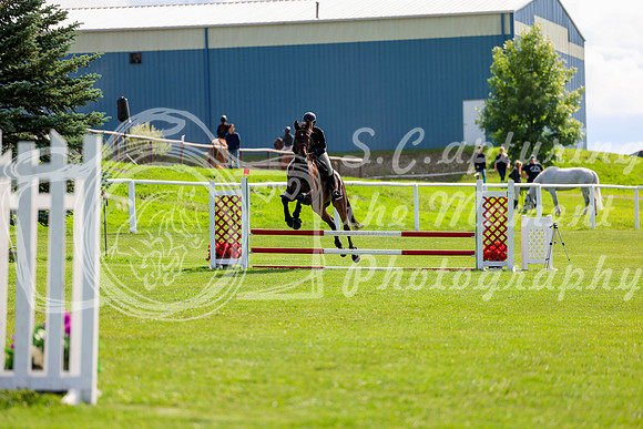 2025 - Shea - Teesdale - Friday July 25th - 04230