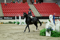 04530 - Mara - 2026 Royal West - Saturday October 24th