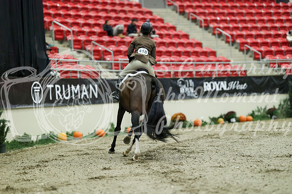 01241 - Mara - 2026 Royal West - Saturday October 17th