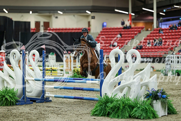 01206 - Mara - 2026 Royal West - Saturday October 2th