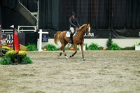 06056 - Mara - 2026 Royal West - Sunday October 18th