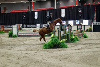 04048 - Mara - 2026 Royal West - Tuesday October 20th
