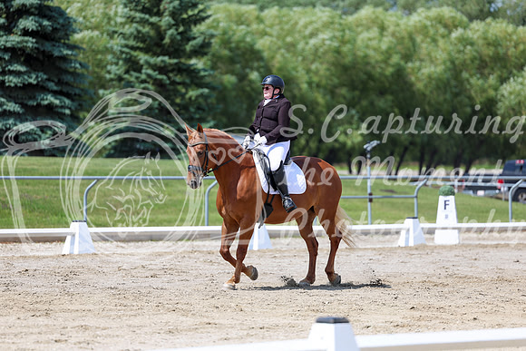 2025 - Dressage Festival - Saturday July 5th - 09318