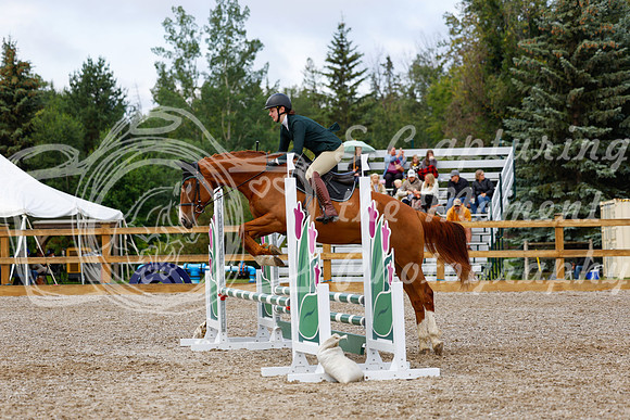 2025 - Haylee - Picco Horse Show - Sunday July 27th 02237