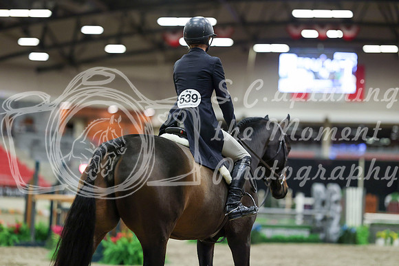 05803 - Mara - 2026 Royal West - Monday October 19th