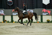 10550 - Mara - 2026 Royal West - Saturday October 24th
