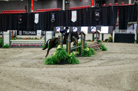 03651 - Mara - 2026 Royal West - Tuesday October 20th