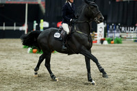 07425 - Mara - 2026 Royal West - Sunday October 18th