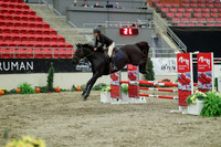 01440 - Mara - 2026 Royal West - Sunday October 18th