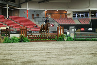 05241 - Mara - 2026 Royal West - Saturday October 17th