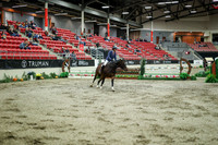08660 - Mara - 2026 Royal West - Saturday October 17th