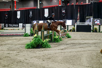 04054 - Mara - 2026 Royal West - Tuesday October 20th