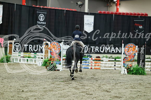 00360 - Mara - 2026 Royal West - Sunday October 18th