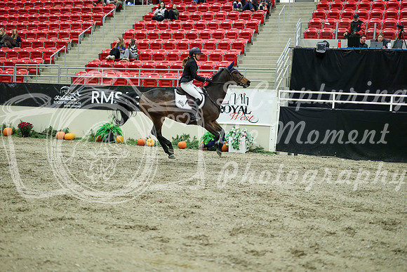 04270 - Mara - 2026 Royal West - Wednesday October 21st