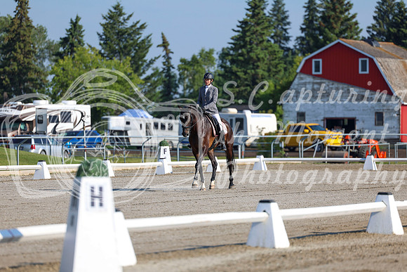 2025 - Dressage Festival - Saturday July 5th - 00120