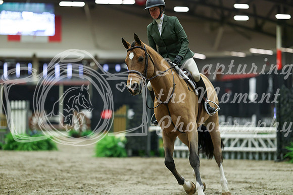 02941 - Mara - 2026 Royal West - Saturday October 17th