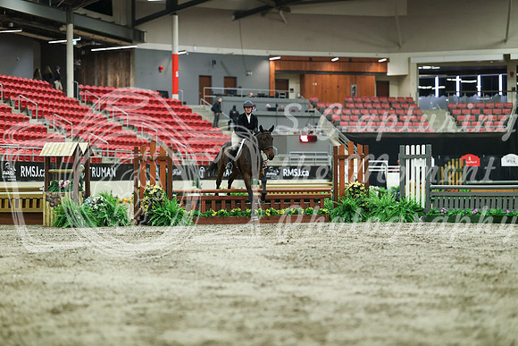 02347 - Mara - 2026 Royal West - Saturday October 17th