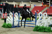 00496 - Mara - 2026 Royal West - Saturday October 2th