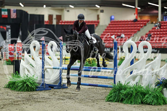 00496 - Mara - 2026 Royal West - Saturday October 2th