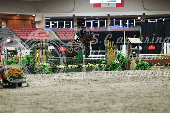 01010 - Mara - 2026 Royal West - Tuesday October 20th