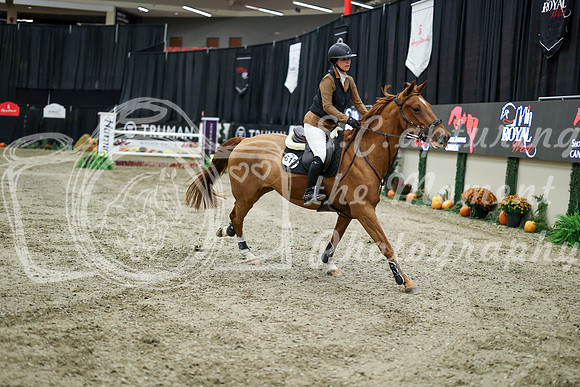 08207 - Mara - 2026 Royal West - Wednesday October 21st