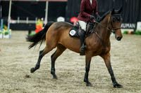 06987 - Mara - 2026 Royal West - Thursday October 15th