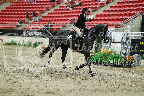 07382 - Mara - 2026 Royal West - Thursday October 22nd