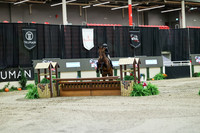02633 - Mara - 2026 Royal West - Monday October 19th