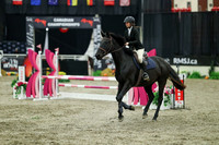 01427 - Mara - 2026 Royal West - Sunday October 18th