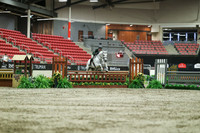 05517 - Mara - 2026 Royal West - Saturday October 17th