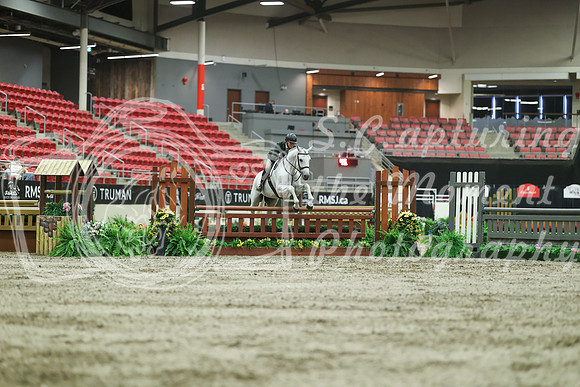 05517 - Mara - 2026 Royal West - Saturday October 17th