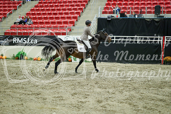 05406 - Mara - 2026 Royal West - Wednesday October 21st