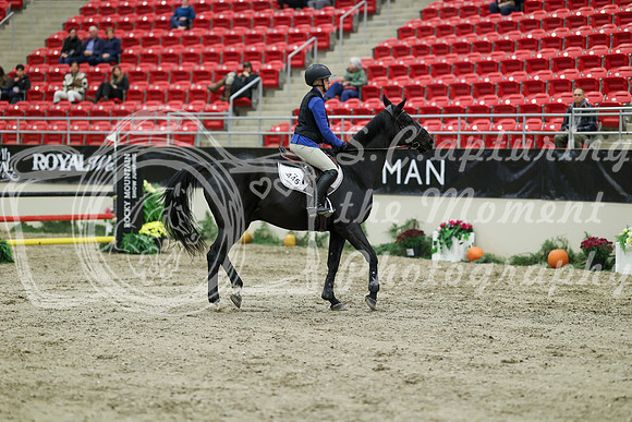 02744 - Mara - 2026 Royal West - Thursday October 22nd