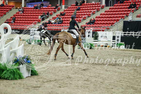 00543 - Mara - 2026 Royal West - Saturday October 2th