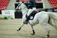 03145 - Mara - 2026 Royal West - Wednesday October 21st