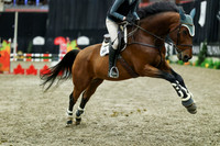 08038 - Mara - 2026 Royal West - Thursday October 15th